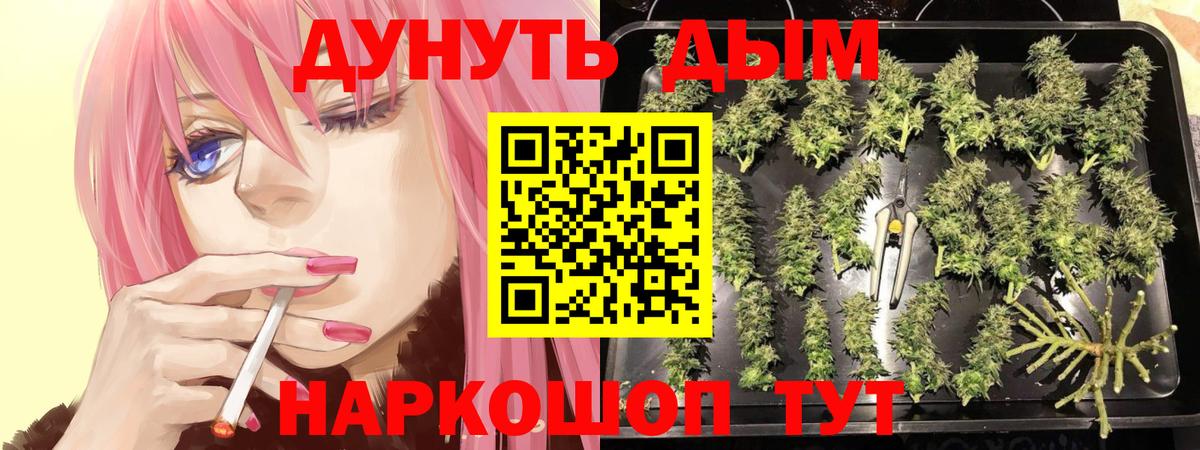 Канабис SATIVA & INDICA  Бошки марихуана Ganja  Гудермес  Конопля Ganja  Вход с VPN 